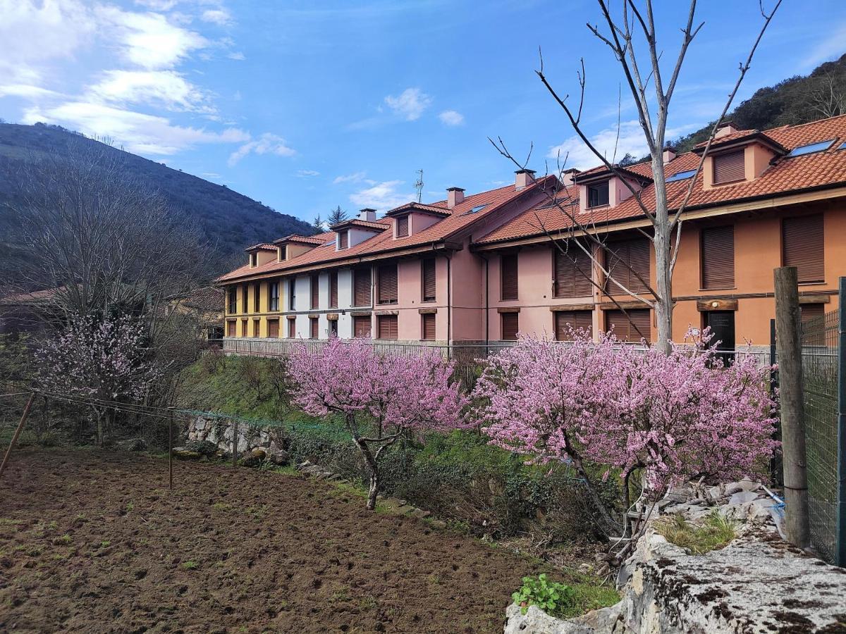 Appartement Cabrales Sol